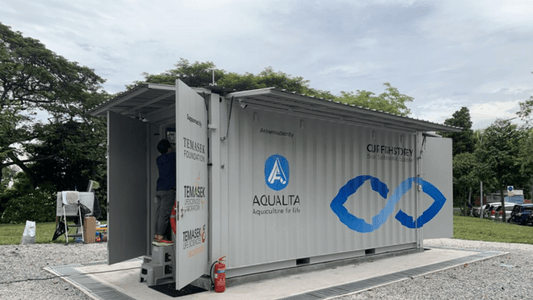 Shipping Container Fish Farms: A Scalable Solution for Sustainable Seafood - USA Containers