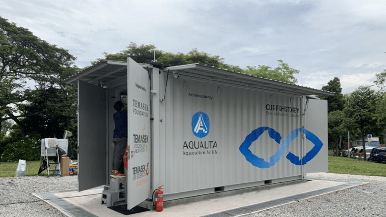 Shipping Container Fish Farms: A Scalable Solution for Sustainable Sea ...
