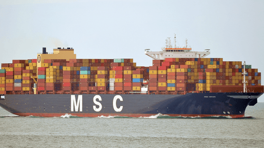 The Red Sea Crisis and the Global Shipping Container Shortage - USA Containers