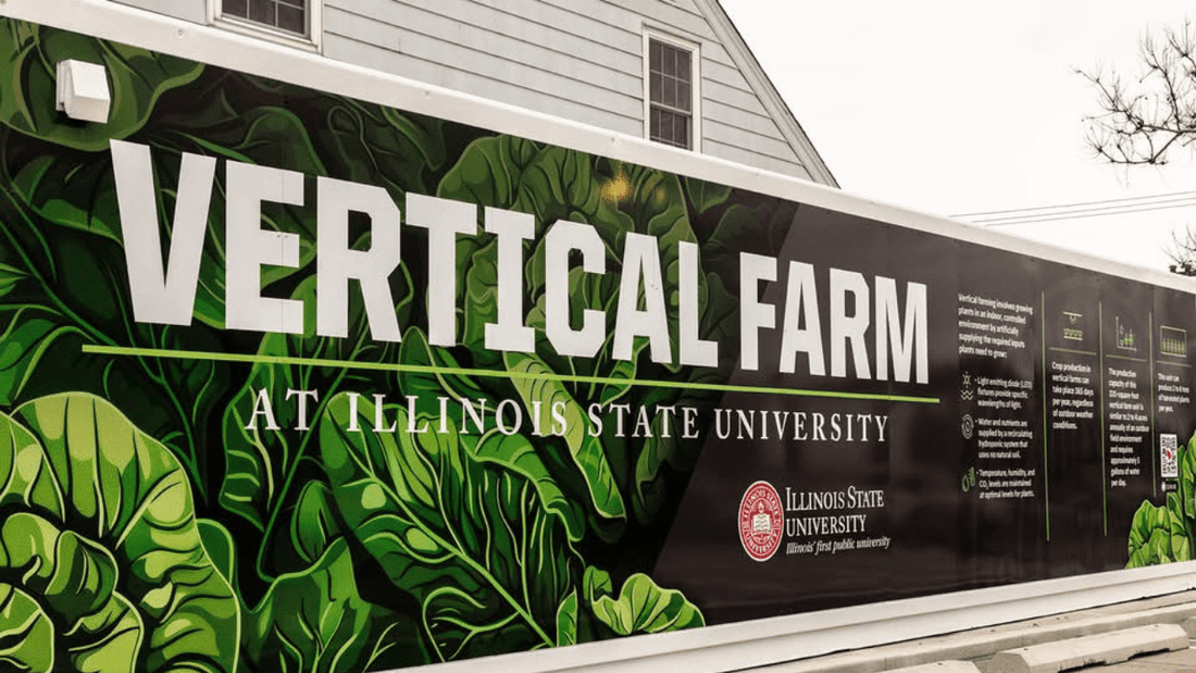 Inside Illinois State University’s Shipping Container Vertical Farm: A New Era of Urban Agriculture - USA Containers