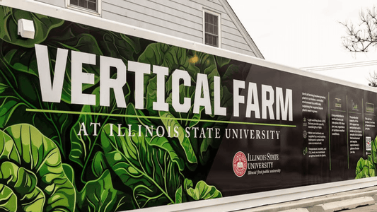 Inside Illinois State University’s Shipping Container Vertical Farm: A New Era of Urban Agriculture - USA Containers